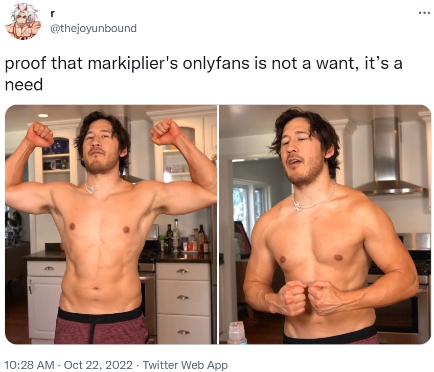 Markiplier Onlyfans Why