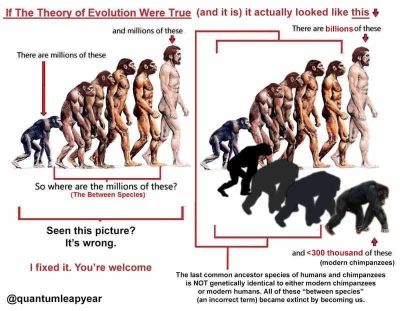 Evolving  How Does Evolution Really Work?