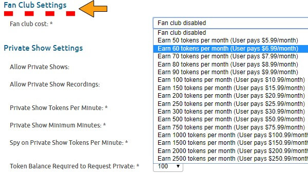 Show how much are tokens worth on stripchat